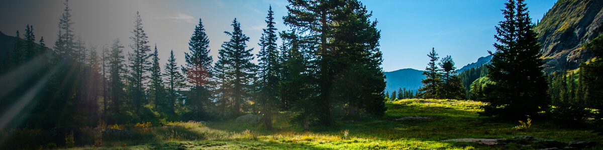 Frequently Asked Questions banner image